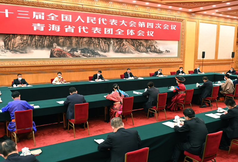 3月7日，中共中央總書記、國家主席、中央軍委主席習(xí)近平參加十三屆全國人大四次會議青海代表團(tuán)的審議。新華社記者 李濤 攝